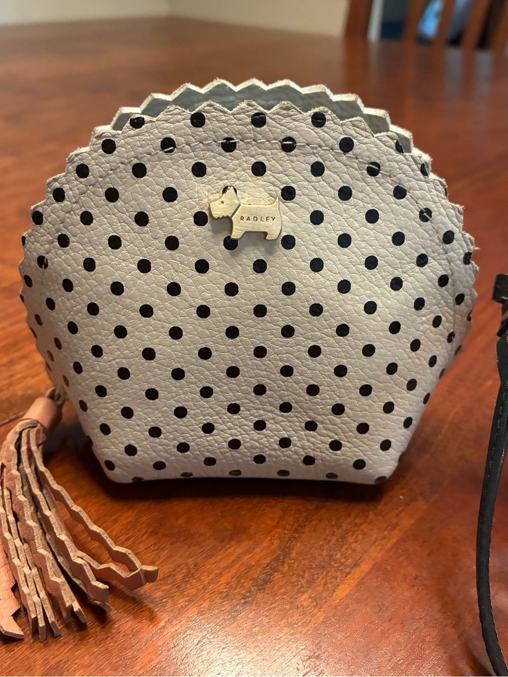 RADLEY LONDON White and Black Polka Dot Leather Cosmetic Pouch